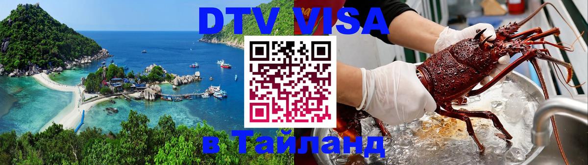 Оформление DTV визы под ключ: стоимость и тарифы, только загранпаспорт - Щёлково 